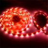 Z030R - Ledstrip 500cm / Rood / 72 watt outdoor 